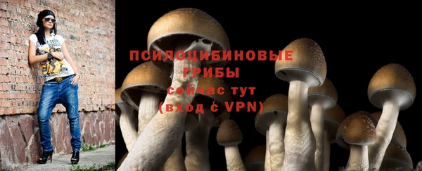 экстази Армянск