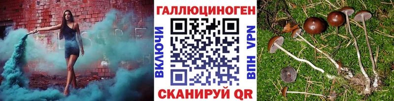 Галлюциногенные грибы Psilocybine cubensis  Партизанск 